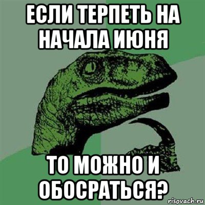 если терпеть на начала июня то можно и обосраться?, Мем Филосораптор