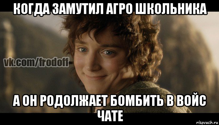 когда замутил агро школьника а он родолжает бомбить в войс чате, Мем  Фродо