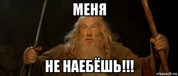 меня не наебёшь!!!, Мем Гендальф (Ты не пройдешь)