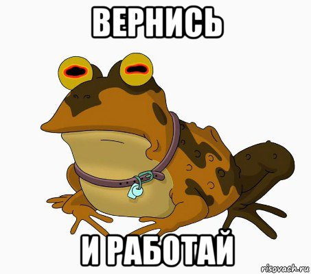 вернись и работай