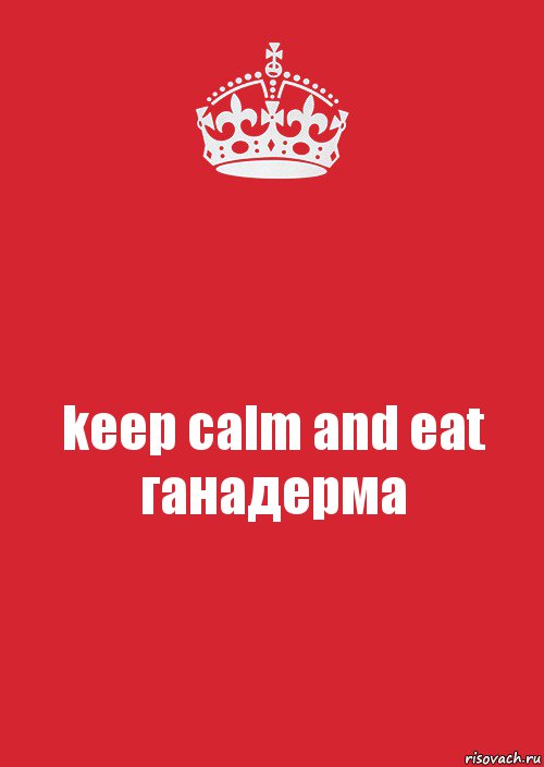 keep calm and eat ганадерма, Комикс Keep Calm 3