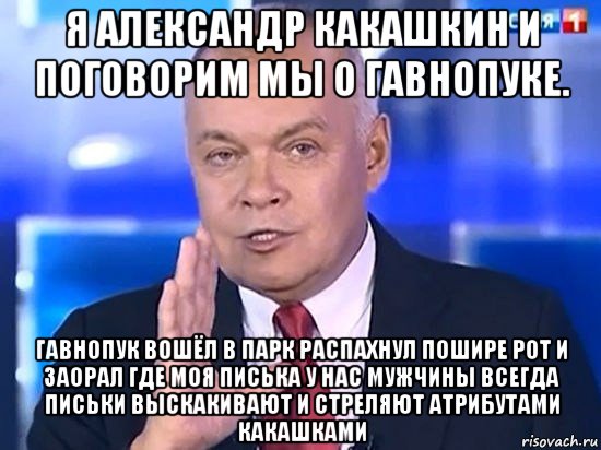 я александр какашкин и поговорим мы о гавнопуке. гавнопук вошёл в парк распахнул пошире рот и заорал где моя писька у нас мужчины всегда письки выскакивают и стреляют атрибутами какашками, Мем Киселёв 2014