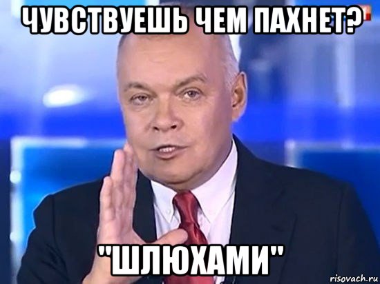 чувствуешь чем пахнет? "шлюхами", Мем Киселёв 2014