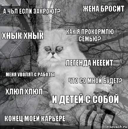 А ЧЬЛ ЕСЛИ ЗАКРОЮТ? ЧТО СО МНОЙ БУДЕТ? КАК Я ПРОКОРМЛЮ СЕМЬЮ? конец моей карьере меня уволят с работы жена бросит и детей с собой хнык хнык хлюп хлюп легенда неееит, Комикс  кот безысходность