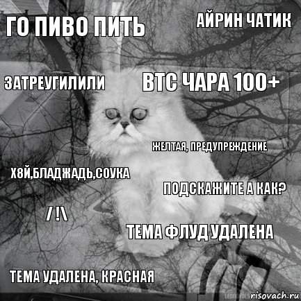 ГО ПИВО ПИТЬ Подскажите а как? ВТС ЧАРА 100+ Тема удалена, красная Х8й,БЛАДЖАДь,СОУКА Айрин чатик Тема флуд удалена Затреугилили / !\ Желтая, предупреждение, Комикс  кот безысходность