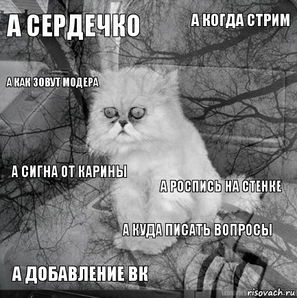 А сердечко А Роспись на стенке  А добавление вк А сигна от карины А когда стрим А куда писать вопросы А как зовут модера  , Комикс  кот безысходность