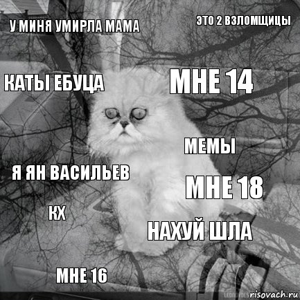 у миня умирла мама мне 18 мне 14 мне 16 я ян васильев это 2 взломщицы нахуй шла каты ебуца кх мемы, Комикс  кот безысходность