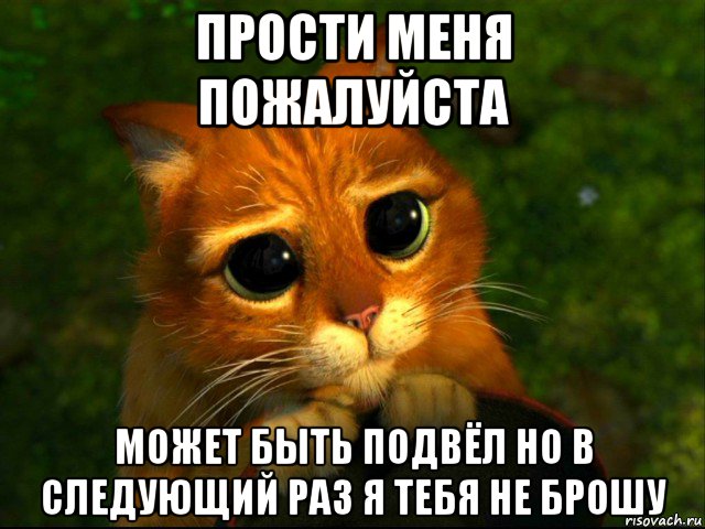 прости меня пожалуйста может быть подвёл но в следующий раз я тебя не брошу, Мем кот из шрека