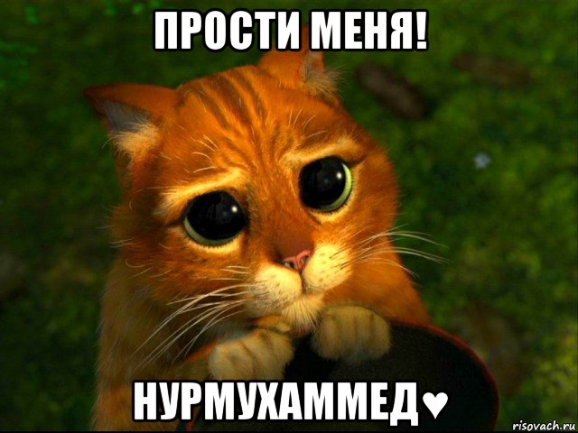 прости меня! нурмухаммед♥, Мем кот из шрека