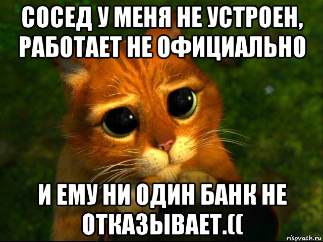 сосед у меня не устроен, работает не официально и ему ни один банк не отказывает.((, Мем кот из шрека