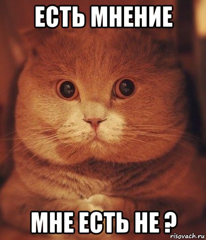 есть мнение мне есть не ?