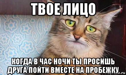 твое лицо когда в час ночи ты просишь друга пойти вместе на пробежку, Мем  кот печаль