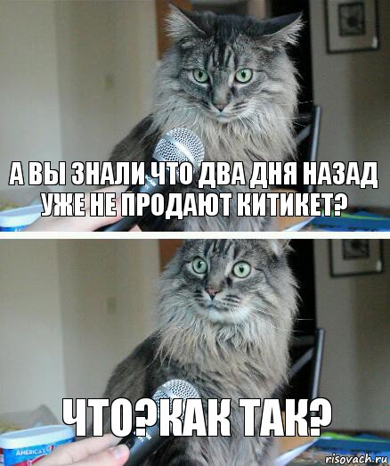 а вы знали что два дня назад уже не продают китикет? что?как так?, Комикс  кот с микрофоном