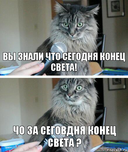 вы знали что сегодня конец света! чо за сеговдня конец света ?, Комикс  кот с микрофоном