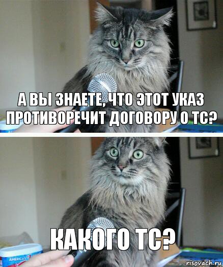 А вы знаете, что этот Указ противоречит договору о ТС? Какого ТС?, Комикс  кот с микрофоном