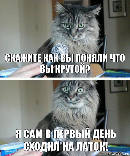 скажите как вы поняли что вы крутой? я сам в первый день сходил на латок!, Комикс  кот с микрофоном