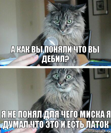 а как вы поняли что вы дебил? я не понял для чего миска я думал что это и есть латок, Комикс  кот с микрофоном