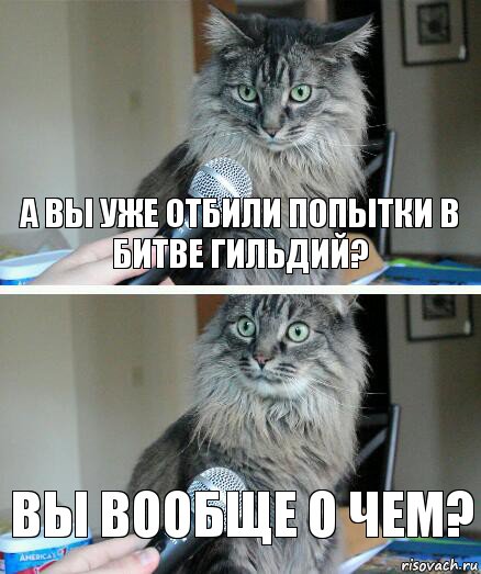 А вы уже отбили попытки в битве гильдий? Вы вообще о чем?, Комикс  кот с микрофоном