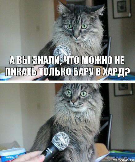 А вы знали, что можно не пикать только бару в хард? , Комикс  кот с микрофоном