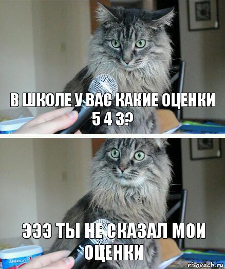 В школе у вас какие оценки
5 4 3? Эээ ты не сказал мои оценки, Комикс  кот с микрофоном