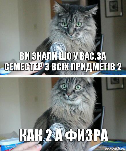 Ви знали шо у вас.за семестер з всіх придметів 2 Как 2 а физра, Комикс  кот с микрофоном