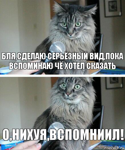 Бля,сделаю серьёзный вид,пока вспоминаю чё хотел сказать О,нихуя,вспомниил!, Комикс  кот с микрофоном