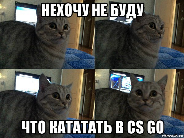 нехочу не буду что кататать в cs go, Мем  Кот в шоке