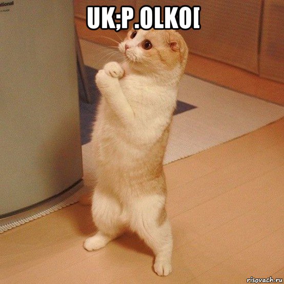 uk;p.olko[ , Мем  котэ молится