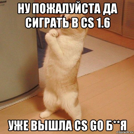 ну пожалуйста да сиграть в cs 1.6 уже вышла cs go б**я, Мем  котэ молится