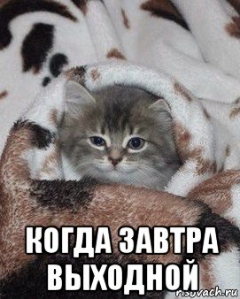 Фото Отправь Твою