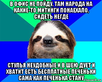 в офис не пойду, там народа на какие-то митинги понаехало, сидеть негде стулья неудобные и в шею дует и хватит есть бесплатные печеньки сама как печенька стану, Мем Ленивец