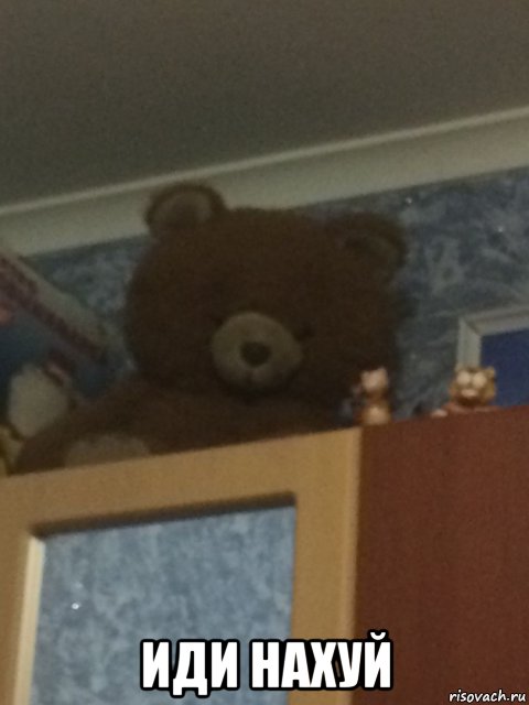 Room bears