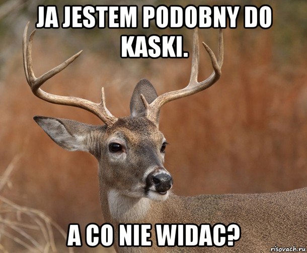 ja jestem podobny do kaski. a co nie widac?, Мем  Наивный Олень v2