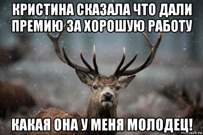 Премию дали. Картинки дали премию. На работе дали премию. Олень рука Мем.