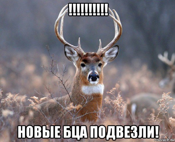 !!!!!!!!!! новые бца подвезли!