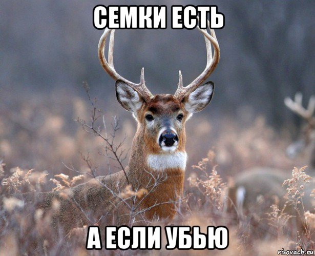 семки есть а если убью