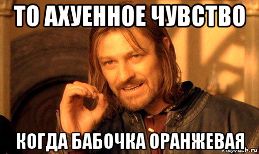 то ахуенное чувство когда бабочка оранжевая, Мем Нельзя просто так взять и (Боромир мем)