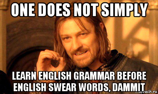 one does not simply learn english grammar before english swear words, dammit, Мем Нельзя просто так взять и (Боромир мем)