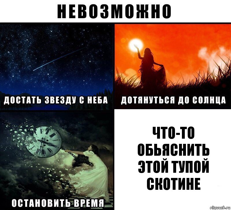 что-то обьяснить
этой тупой скотине