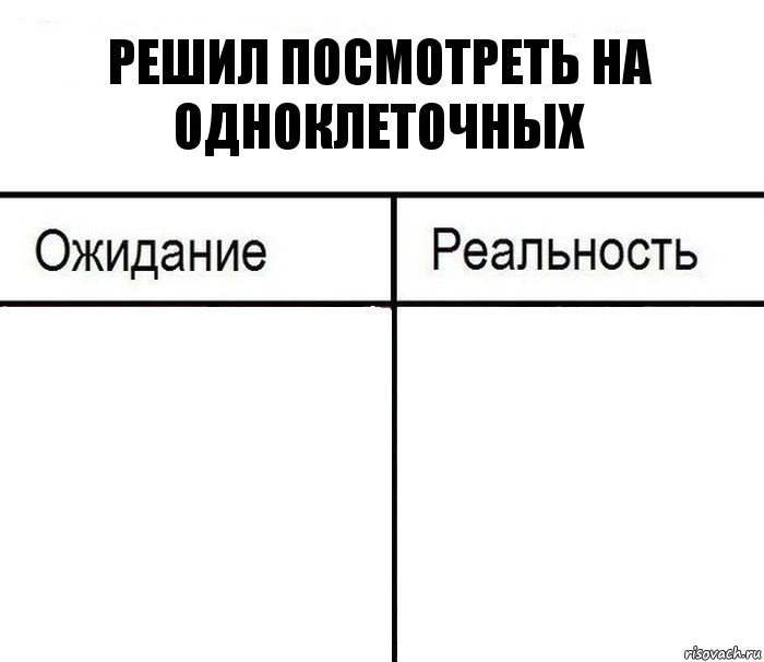 Решить посещать. Шутки про одноклеточных. Клише для мемов. Многопоточность ожидание реальность. Самозарождающиеся мемы примеры.