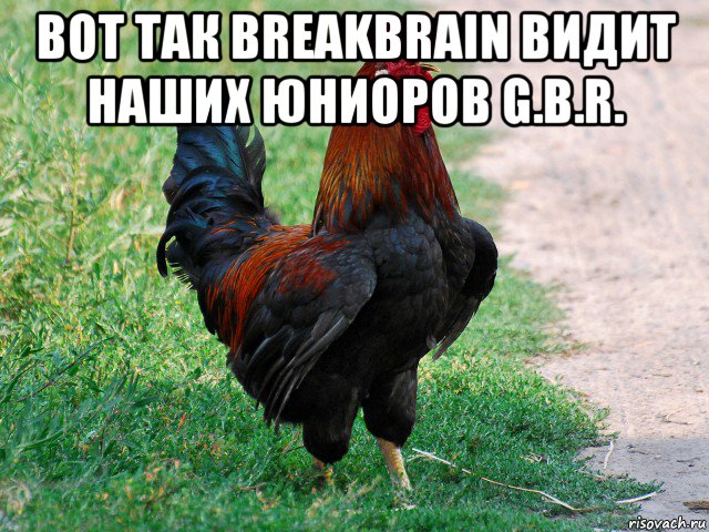 вот так breakbrain видит наших юниоров g.b.r. , Мем петух