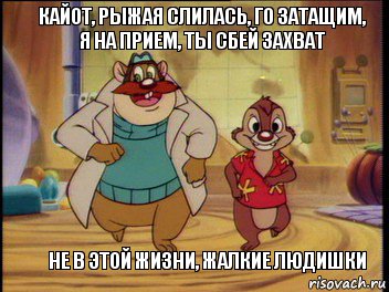 Кайот, Рыжая слилась, го затащим, я на прием, ты сбей захват не в этой жизни, жалкие людишки, Комикс Пойдем малой посмотрим что за ОН