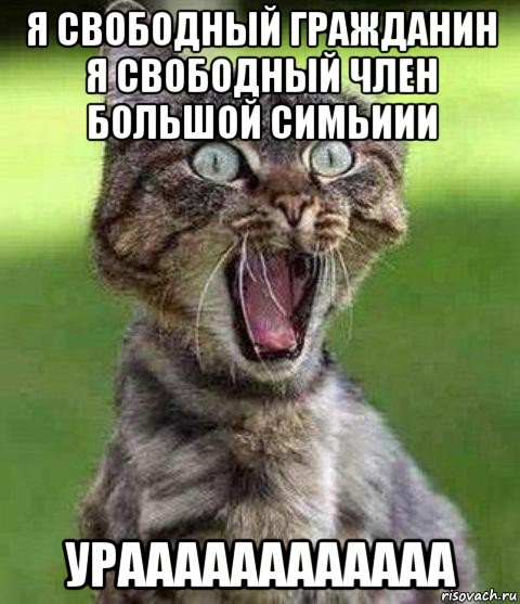 Ч свободен. Ура я свободна. Я свободен прикол. Я свободен смешные картинки. Ура Мем.