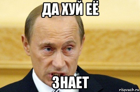 да хуй её знает, Мем путин