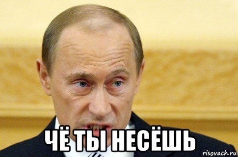  чё ты несёшь, Мем путин