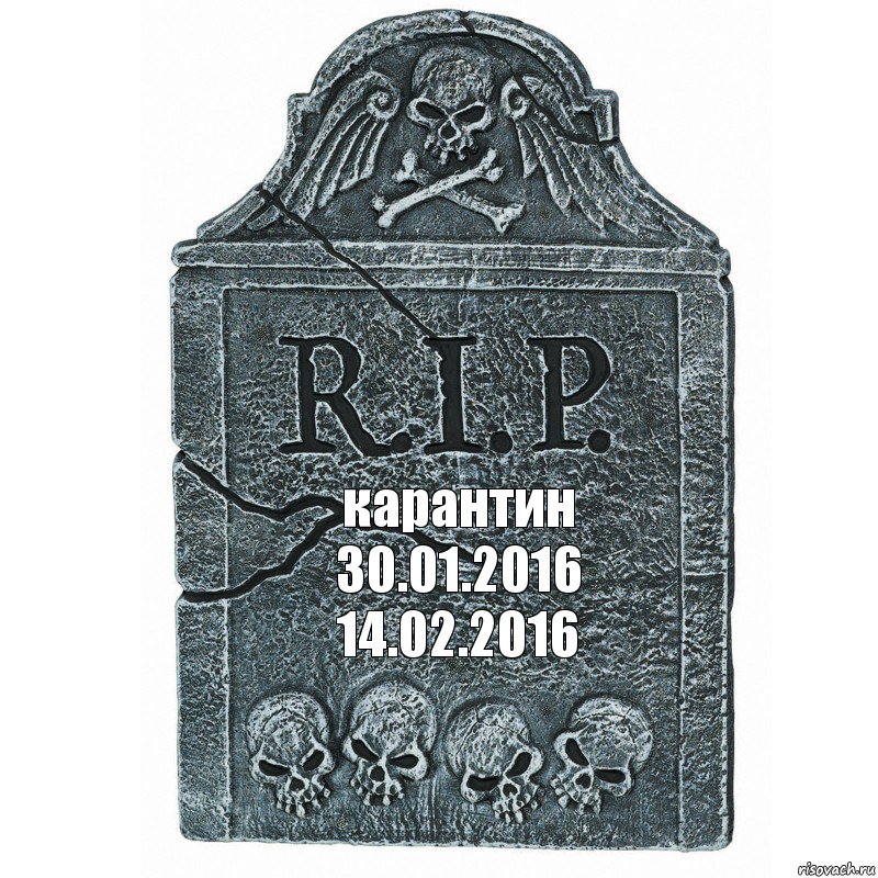 карантин
30.01.2016
14.02.2016, Комикс  rip