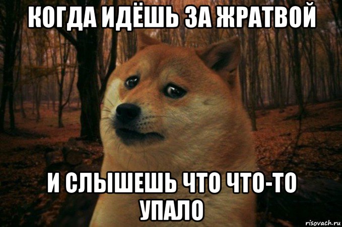 когда идёшь за жратвой и слышешь что что-то упало, Мем SAD DOGE