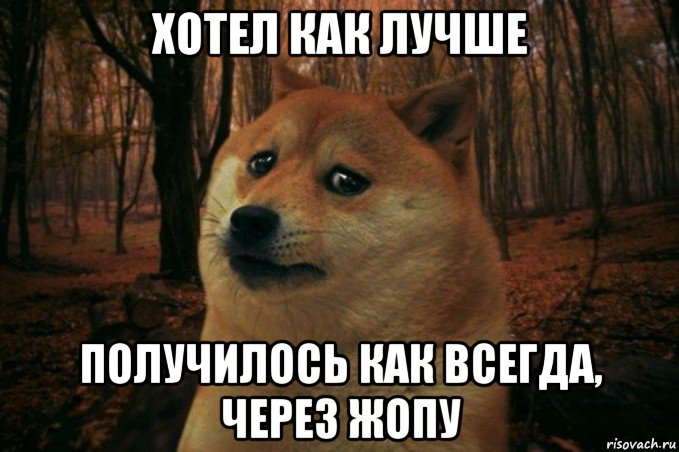 хотел как лучше получилось как всегда, через жопу, Мем SAD DOGE