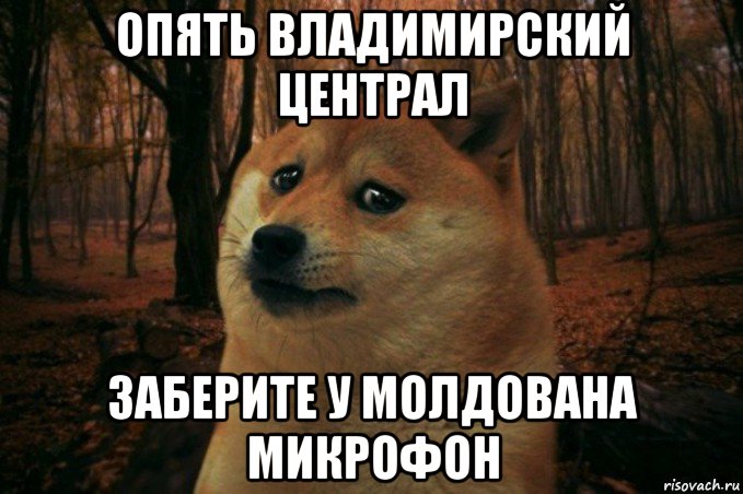 опять владимирский централ заберите у молдована микрофон, Мем SAD DOGE