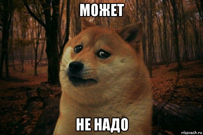 может не надо, Мем SAD DOGE